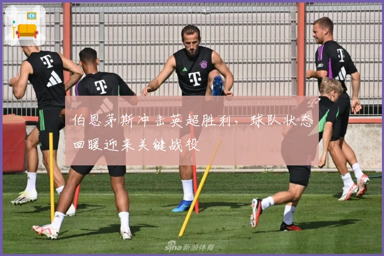 伯恩茅斯冲击英超胜利，球队状态回暖迎来关键战役